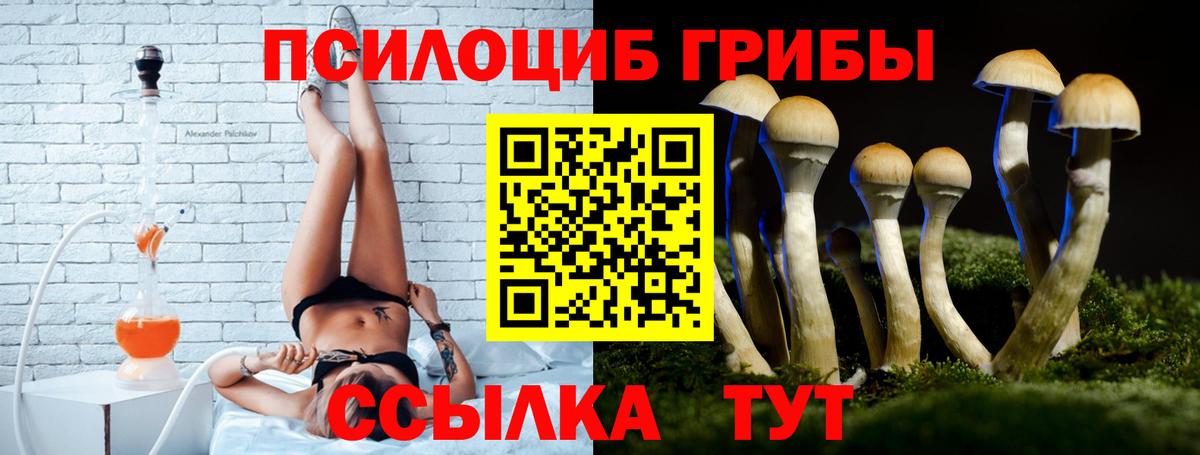Галлюциногенные грибы Cubensis Тейково